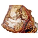 SHL160 versteinertes Holz 5 x beidseitig polierte Scheiben 230g D: 90  mm