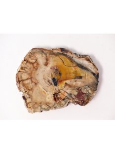 SH39 versteinertes Holz silifiziert fossil  beidseitig...