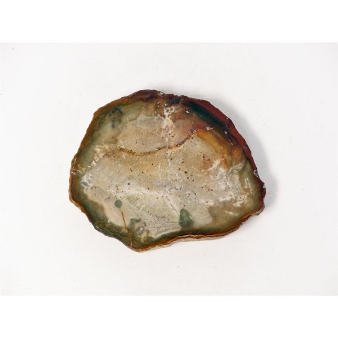 SH68 versteinertes Holz silifiziert fossil  beidseitig polierte Scheibe 60g 70mm