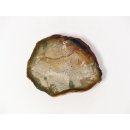 SH68 versteinertes Holz silifiziert fossil  beidseitig polierte Scheibe 60g 70mm
