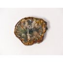 SH70 versteinertes Holz silifiziert fossil  beidseitig polierte Scheibe 80g 70mm