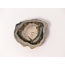 SH76 versteinertes Holz silifiziert fossil  beidseitig polierte Scheibe 60g 65mm
