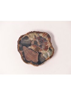 SH77 versteinertes Holz silifiziert fossil  beidseitig...