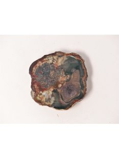 SH77 versteinertes Holz silifiziert fossil  beidseitig...