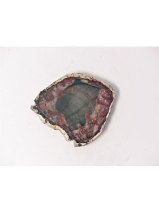 SH78 versteinertes Holz silifiziert fossil  beidseitig...