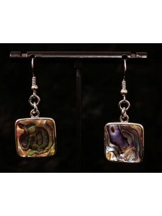 1 Paar Ohrh&auml;nger Perlmutt echte Abalone...