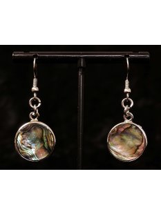 1 Paar Ohrh&auml;nger Perlmutt echte Abalone...