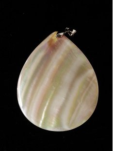 Perlmutt Anh&auml;nger echt wei&szlig;e Irismuschel...
