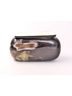 Horn Dose Tabak 10 cm  30% reduziert