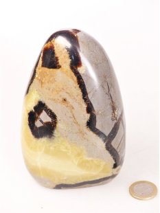 SS08 Septarien Skulptur Freeform Madagaskar 13 cm 1180 g