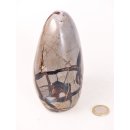 SS08 Septarien Skulptur Freeform Madagaskar 13 cm 1180 g