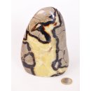 SS10 Septarien Skulptur Freeform Madagaskar 14 cm 1260 g