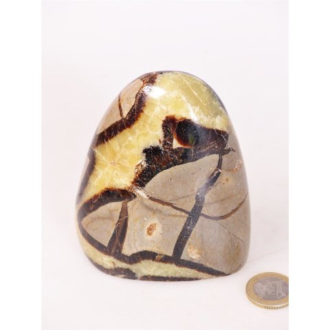 SS11 Septarien Skulptur Freeform Madagaskar 10 cm 620 g