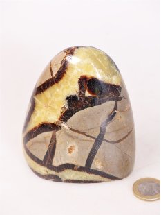 SS11 Septarien Skulptur Freeform Madagaskar 10 cm 620 g