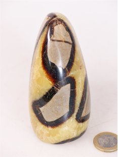 SS11 Septarien Skulptur Freeform Madagaskar 10 cm 620 g
