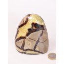 SS11 Septarien Skulptur Freeform Madagaskar 10 cm 620 g