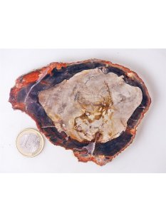 SH80 versteinertes Holz silifiziert beidseitig polierte...