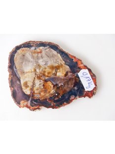 SH80 versteinertes Holz silifiziert beidseitig polierte Scheibe 170 g 100 mm