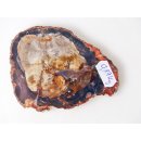 SH80 versteinertes Holz silifiziert beidseitig polierte Scheibe 170 g 100 mm