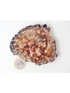 SH81 versteinertes Holz silifiziert beidseitig polierte...