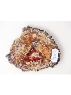 SH81 versteinertes Holz silifiziert beidseitig polierte Scheibe 180 g 90 mm