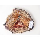 SH81 versteinertes Holz silifiziert beidseitig polierte Scheibe 180 g 90 mm