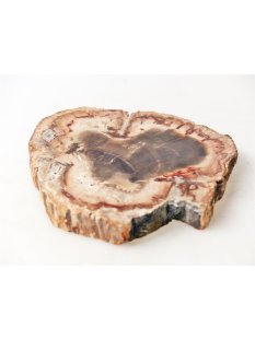 SH85 versteinertes Holz silifiziert beidseitig polierte...
