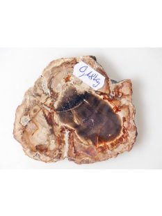 SH85 versteinertes Holz silifiziert beidseitig polierte Scheibe 180 g 90 mm