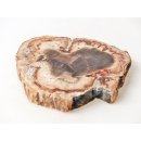 SH85 versteinertes Holz silifiziert beidseitig polierte Scheibe 180 g 90 mm