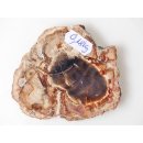 SH85 versteinertes Holz silifiziert beidseitig polierte Scheibe 180 g 90 mm