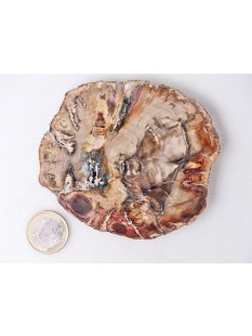 SH86 versteinertes Holz silifiziert beidseitig polierte...