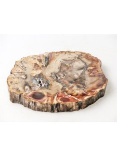 SH86 versteinertes Holz silifiziert beidseitig polierte...