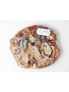 SH86 versteinertes Holz silifiziert beidseitig polierte Scheibe 160 g 90 mm