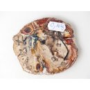SH86 versteinertes Holz silifiziert beidseitig polierte Scheibe 160 g 90 mm
