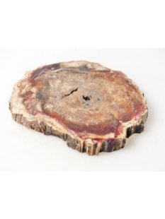 SH90 versteinertes Holz silifiziert beidseitig polierte...