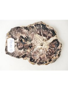 SH91 versteinertes Holz silifiziert beidseitig polierte Scheibe 190 g 110 mm