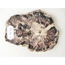 SH91 versteinertes Holz silifiziert beidseitig polierte Scheibe 190 g 110 mm