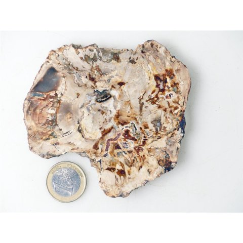 SH93 versteinertes Holz silifiziert beidseitig polierte Scheibe 150 g 90 mm