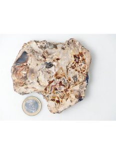 SH93 versteinertes Holz silifiziert beidseitig polierte...