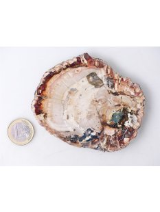 SH95 versteinertes Holz silifiziert beidseitig polierte...