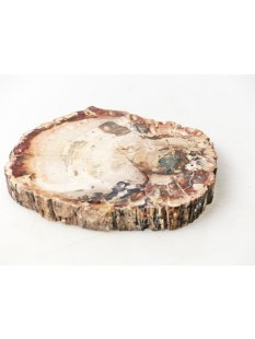 SH95 versteinertes Holz silifiziert beidseitig polierte...