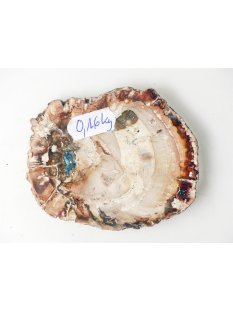 SH95 versteinertes Holz silifiziert beidseitig polierte Scheibe 160 g 90 mm