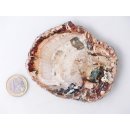 SH95 versteinertes Holz silifiziert beidseitig polierte Scheibe 160 g 90 mm