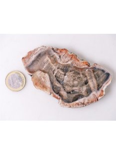 SH98 versteinertes Holz silifiziert beidseitig polierte...