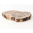 SH98 versteinertes Holz silifiziert beidseitig polierte Scheibe 110 g 95 mm