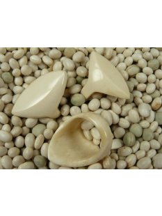 Knochenring. M12b  Code B