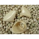 Knochenring. M12b  Code B