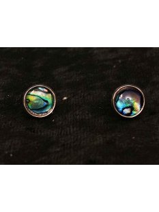 1 Paar Ohrstecker Perlmutt echte Abalone rund 0,8 cm =...