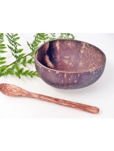 Vietnam Kokosnuss Schale mit Kokosholz L&ouml;ffel D: 13...