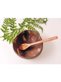 Vietnam Kokosnuss Schale mit Kokosholz L&ouml;ffel D: 13 cm = Code A